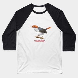 Rufous-tailed Tailorbird | Orthotomus sericeus Baseball T-Shirt